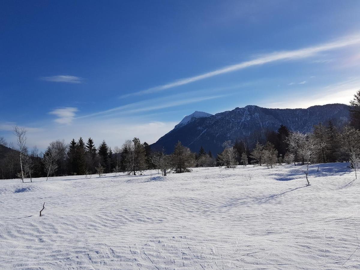 شقة Zirbenstueberl - Chiemgau Karte انزل المظهر الخارجي الصورة